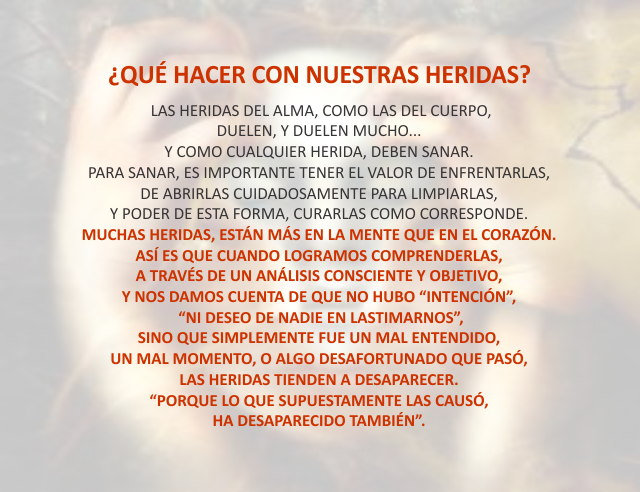 ¿Qué hacer con nuestras heridas? Junio 28 de 2010